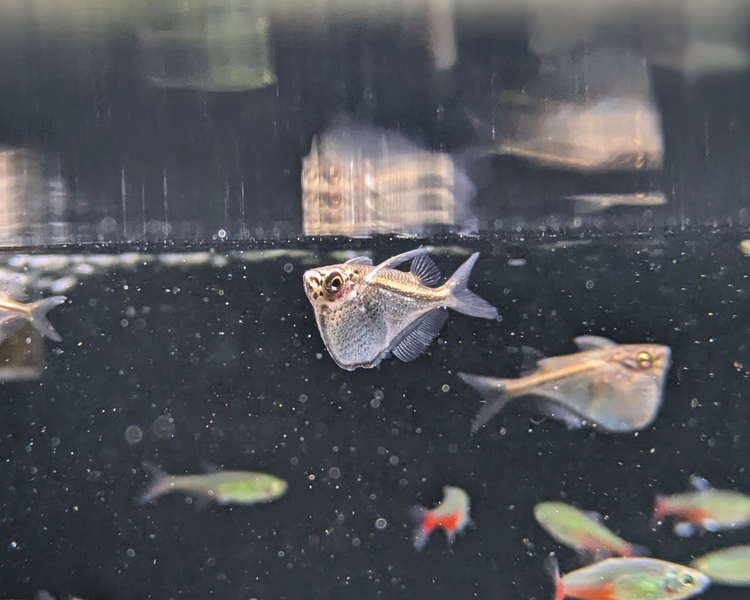 マーサ 投稿詳細｜MOTOCLE