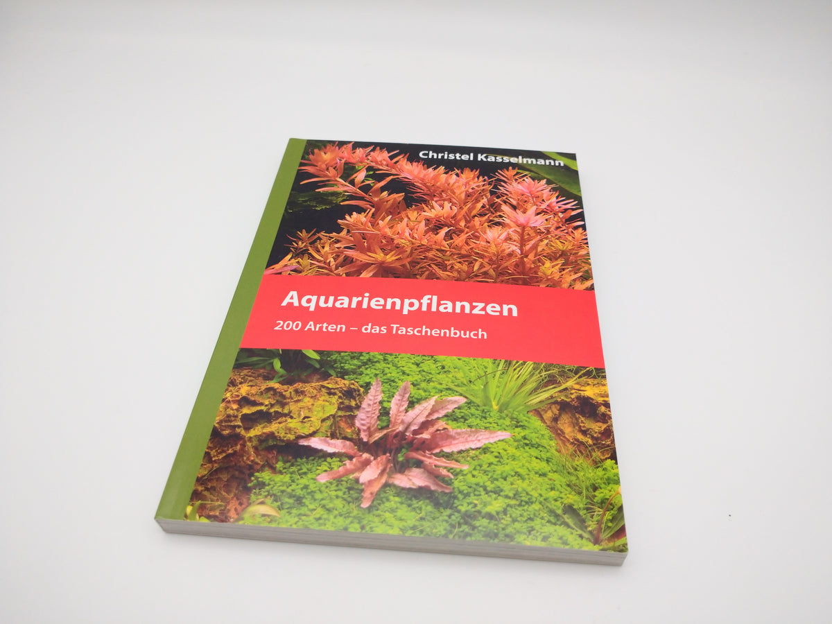 Aquarienpflanze Christel Kasselmann  e-scape online