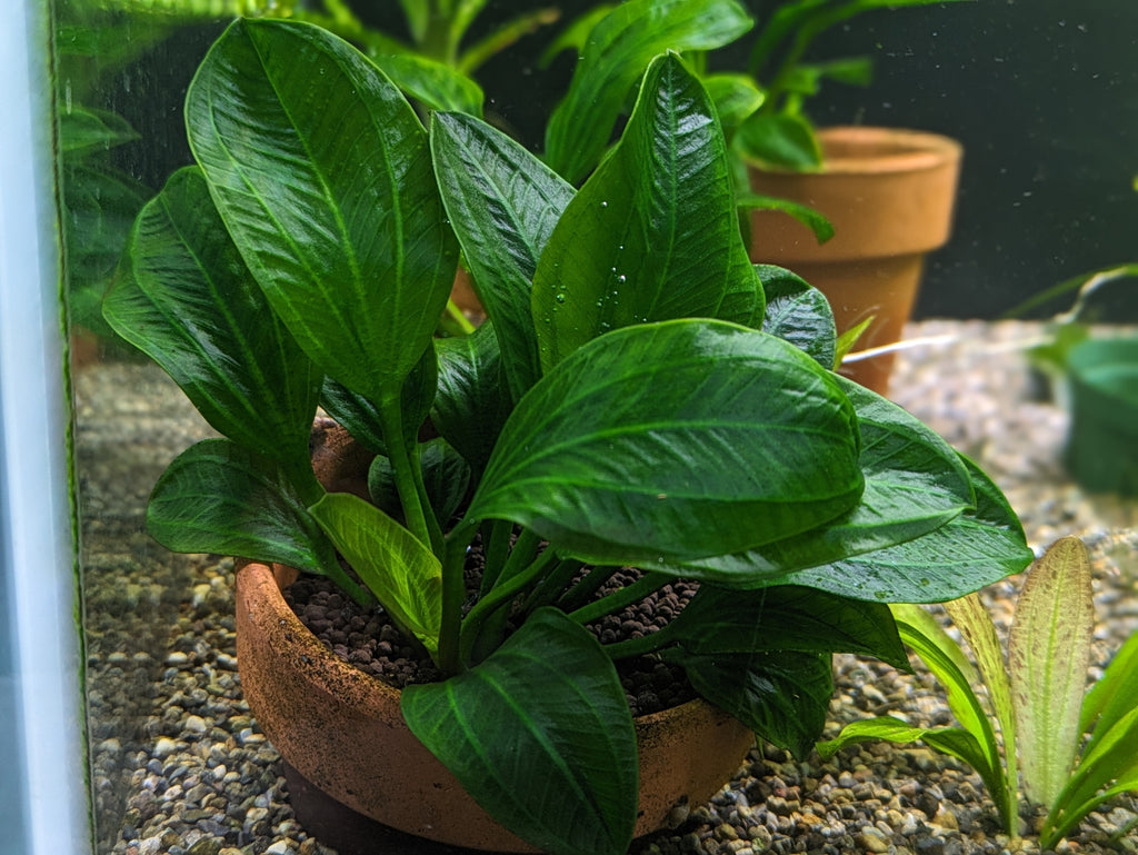 PXL_20240521_104700607.