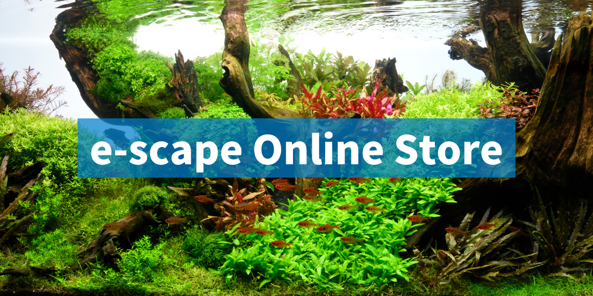 砂、砂利 – e-scape online 砂、砂利 – e-scape online